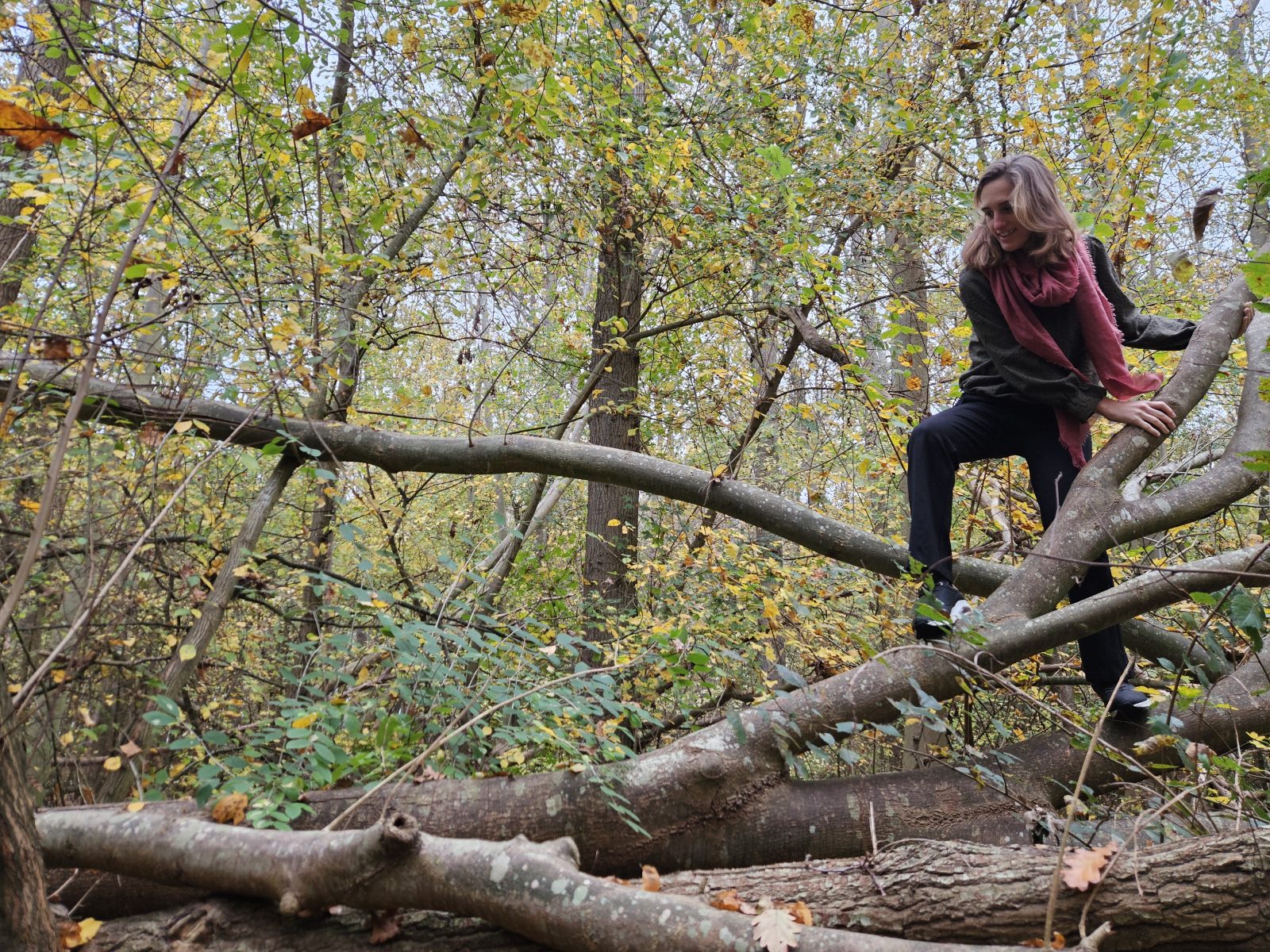 Jorinde beweegt soepel en speels over een omgevallen boom in het bos